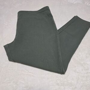 Terra & Sky 2X (20W-22W) Leggings Green Ankle Stretch Elastic Waist Comfortable